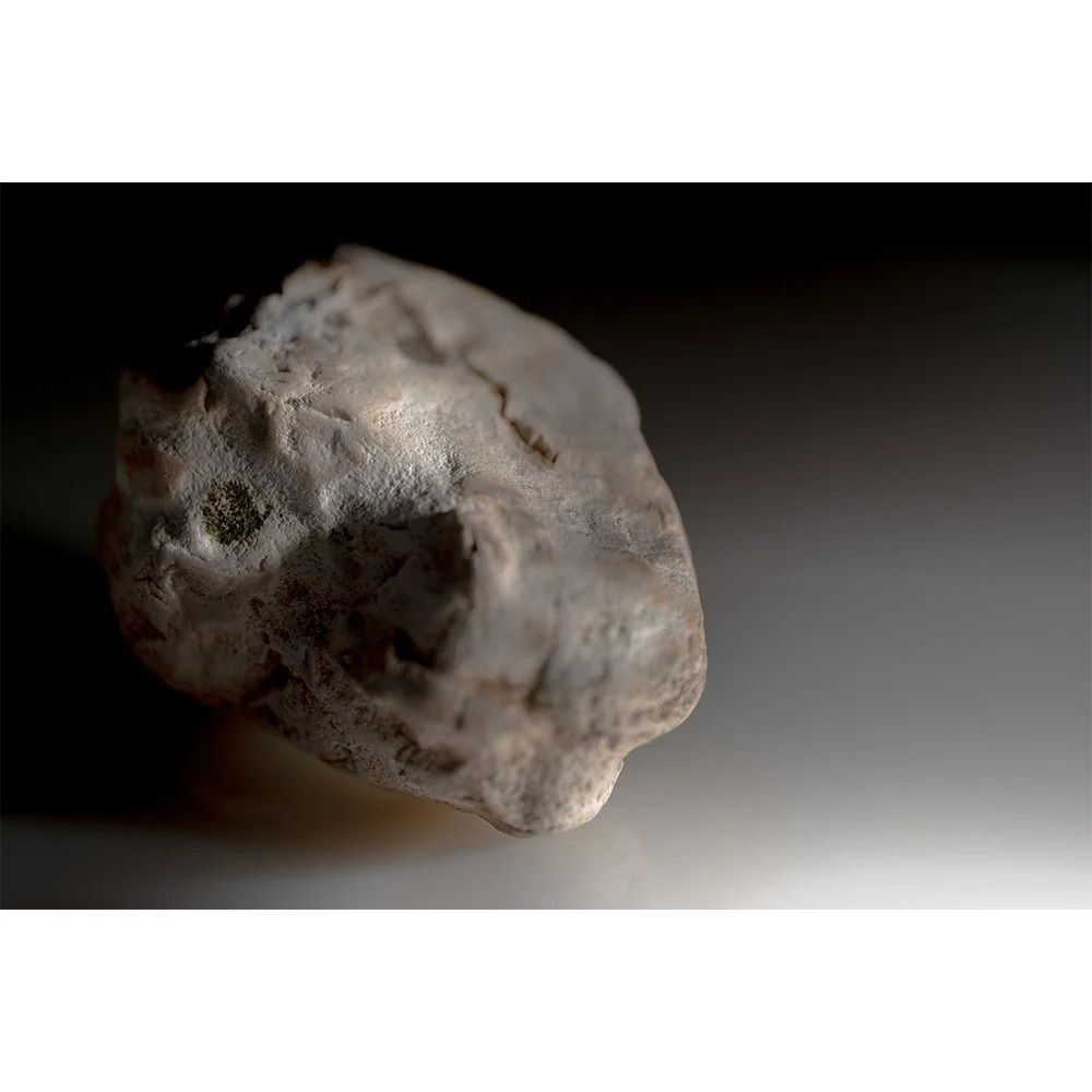 STONE- STONE FACE #1663-Web.jpg