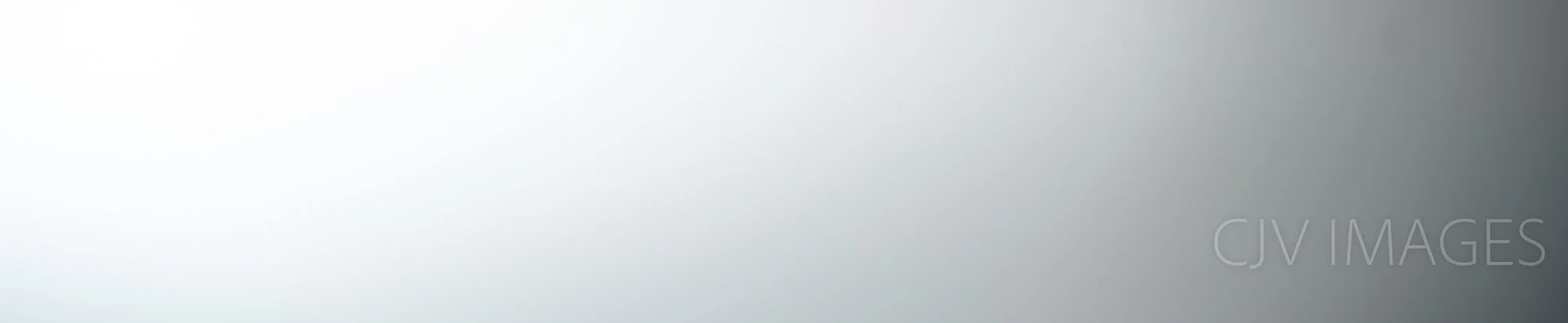 FILLER- WHITE WITH GRAY RIGHT 0908 #2.jpg