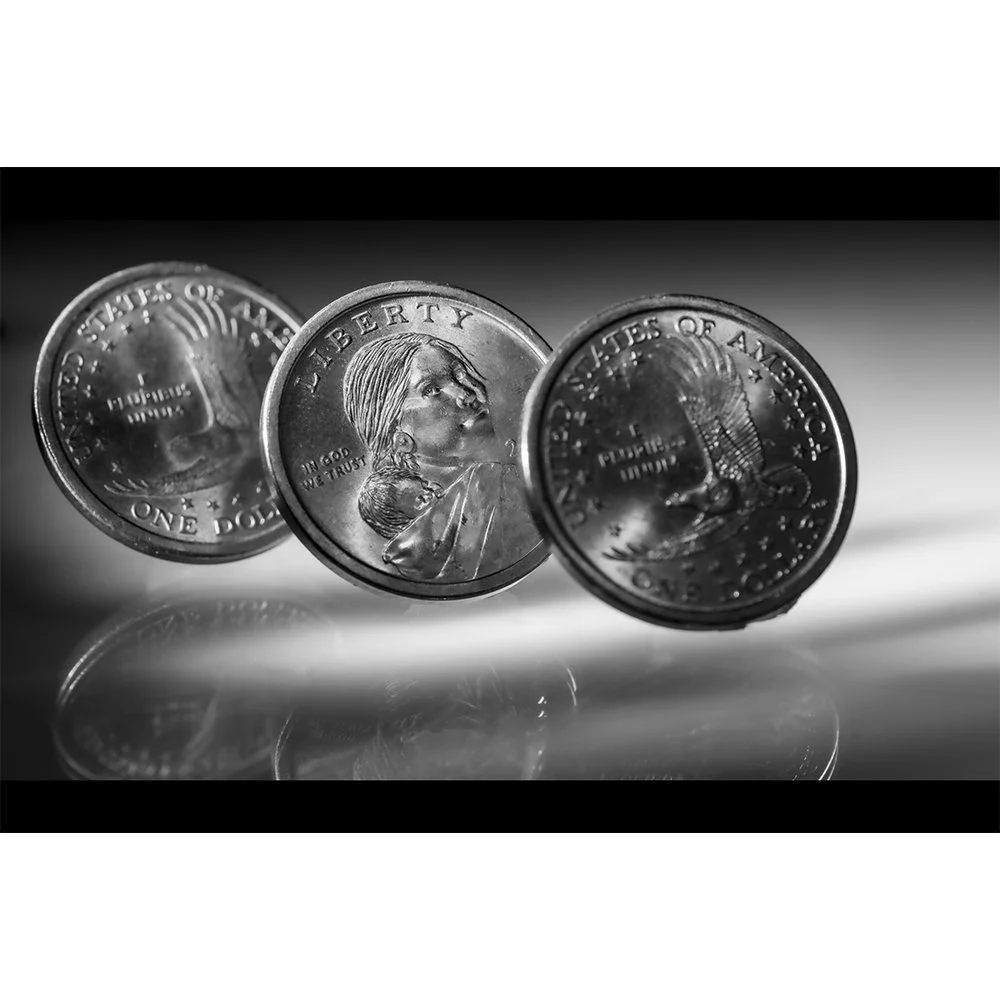 CURRENCY- ONE DOLLAR SACAGAWEA LIBERTY CROPPED BW #0697-Web.jpg