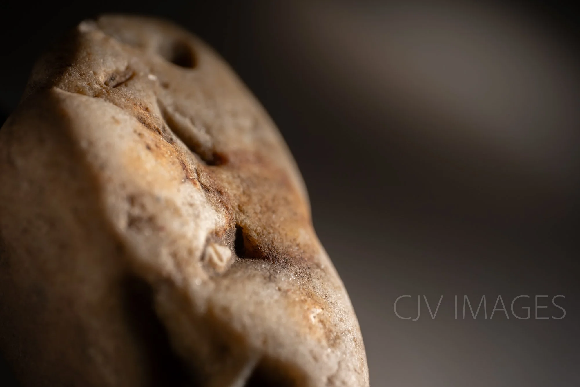 STONE- STONE FACE ##1629