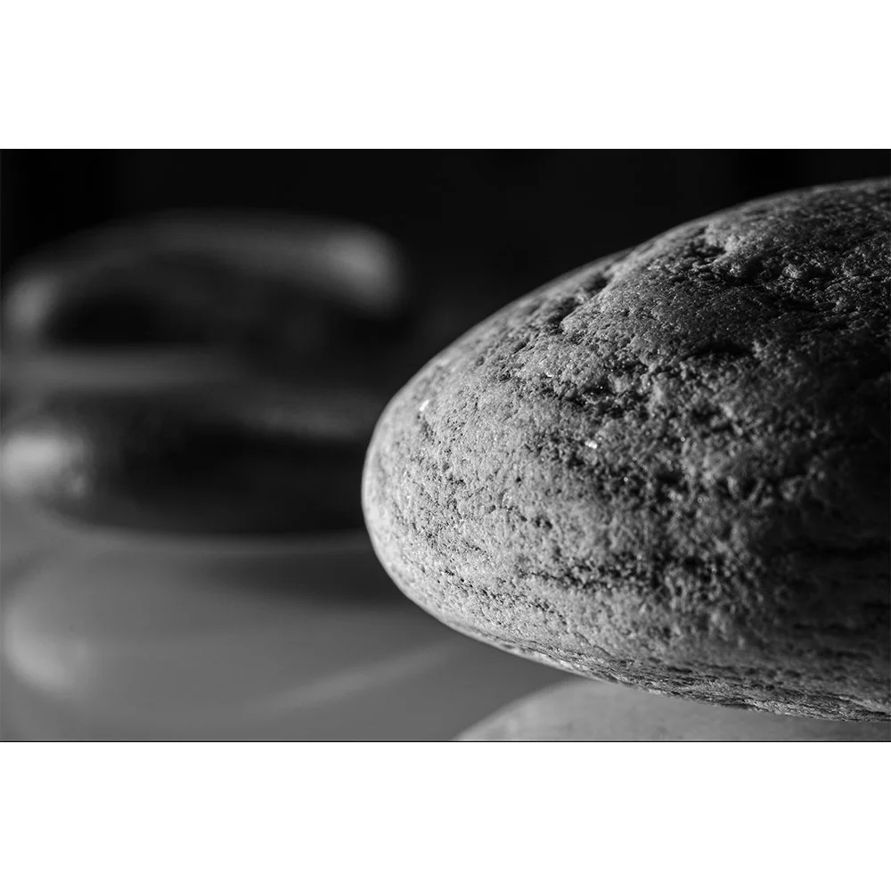 STONES BEAUTY Gallery- Whitefish #4971 Black and White