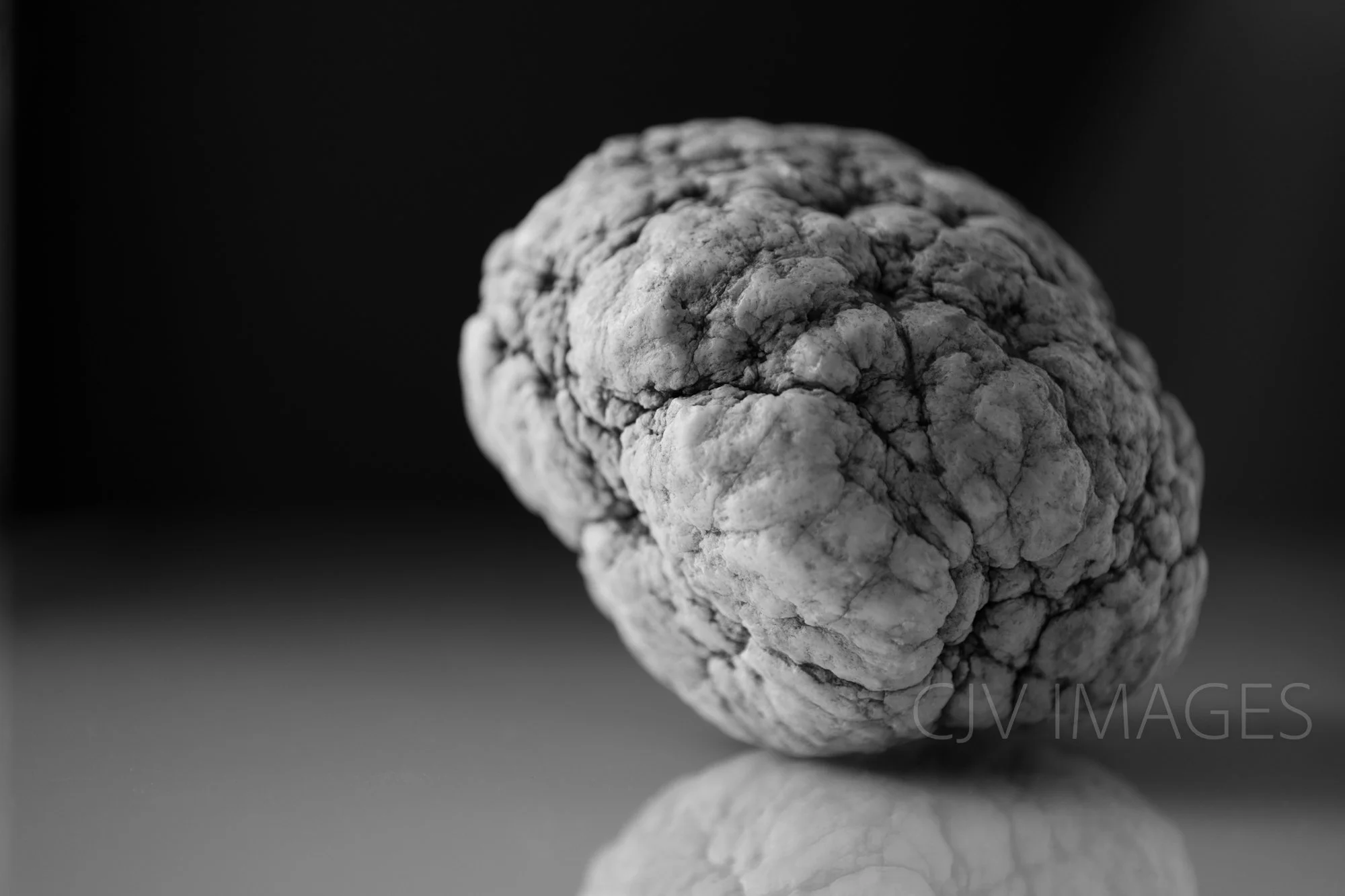 STONES- WARSAW BRAIN 1  BW #0089