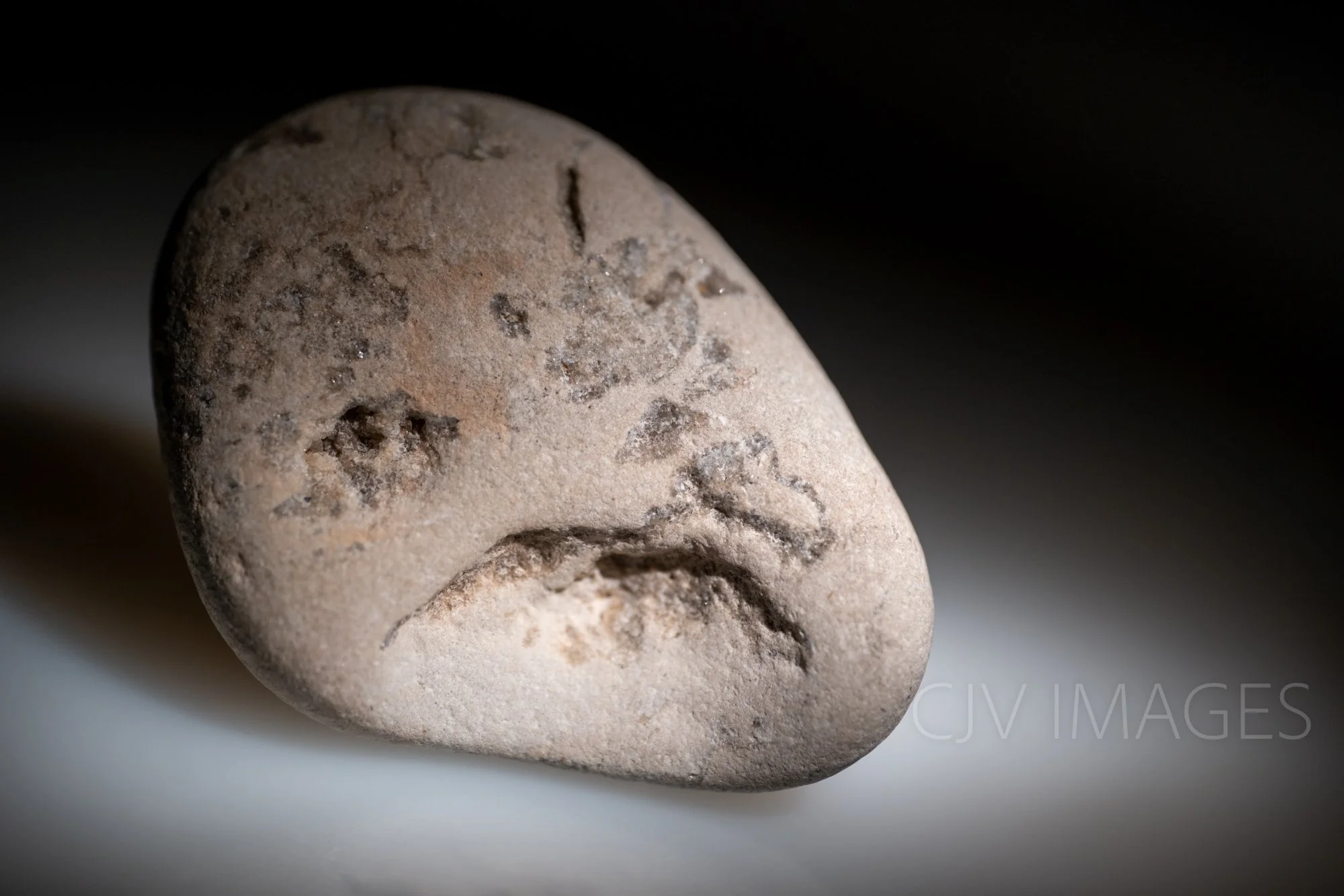 STONE- STONE FACE ##1556