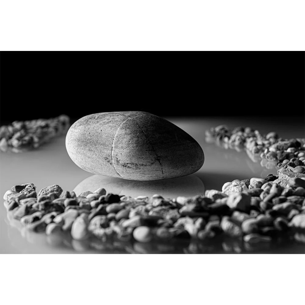 STONES BEAUTY Gallery- Whitefish #0161 Black and White