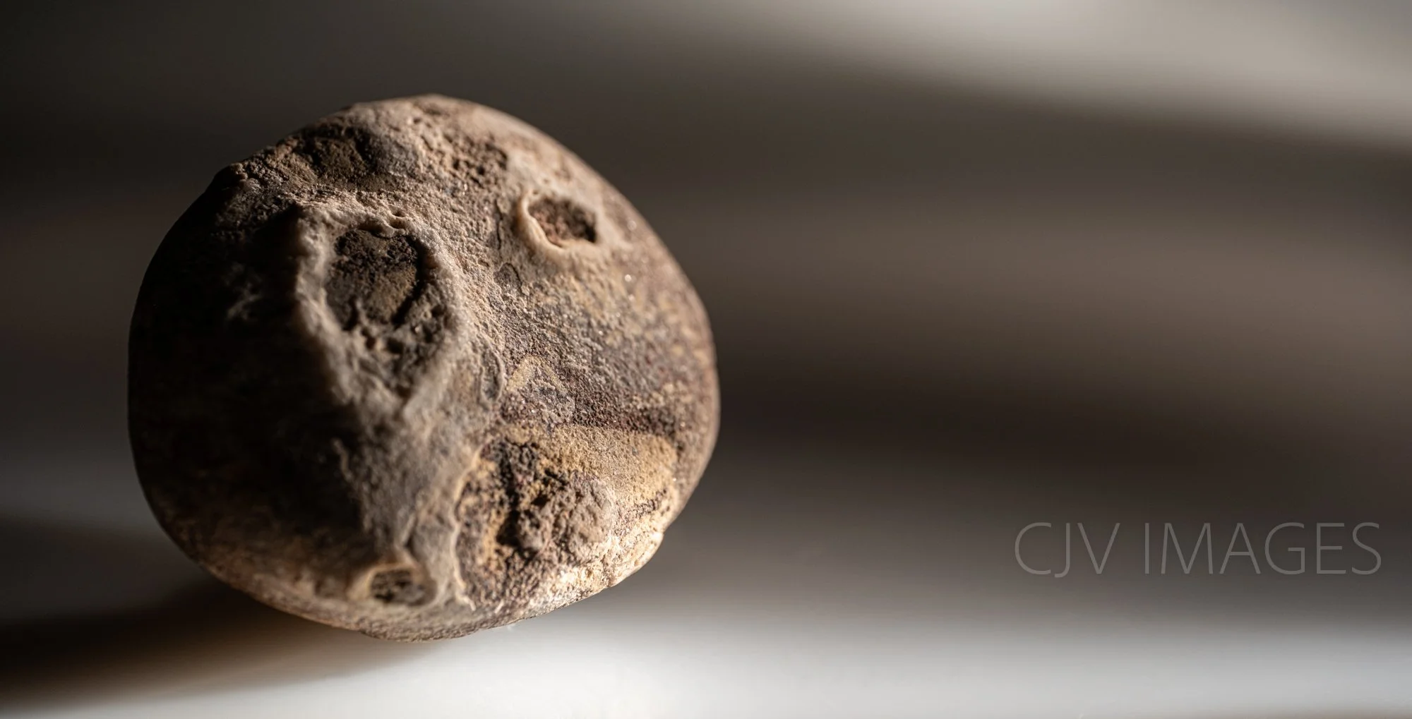 STONE- STONE FACE CROPPED #1535