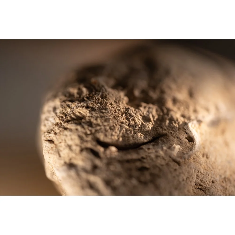 STONE- STONE FACE #1568-Web.jpg