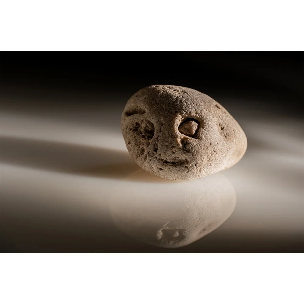 STONE- STONE FACE #1549-Web.jpg