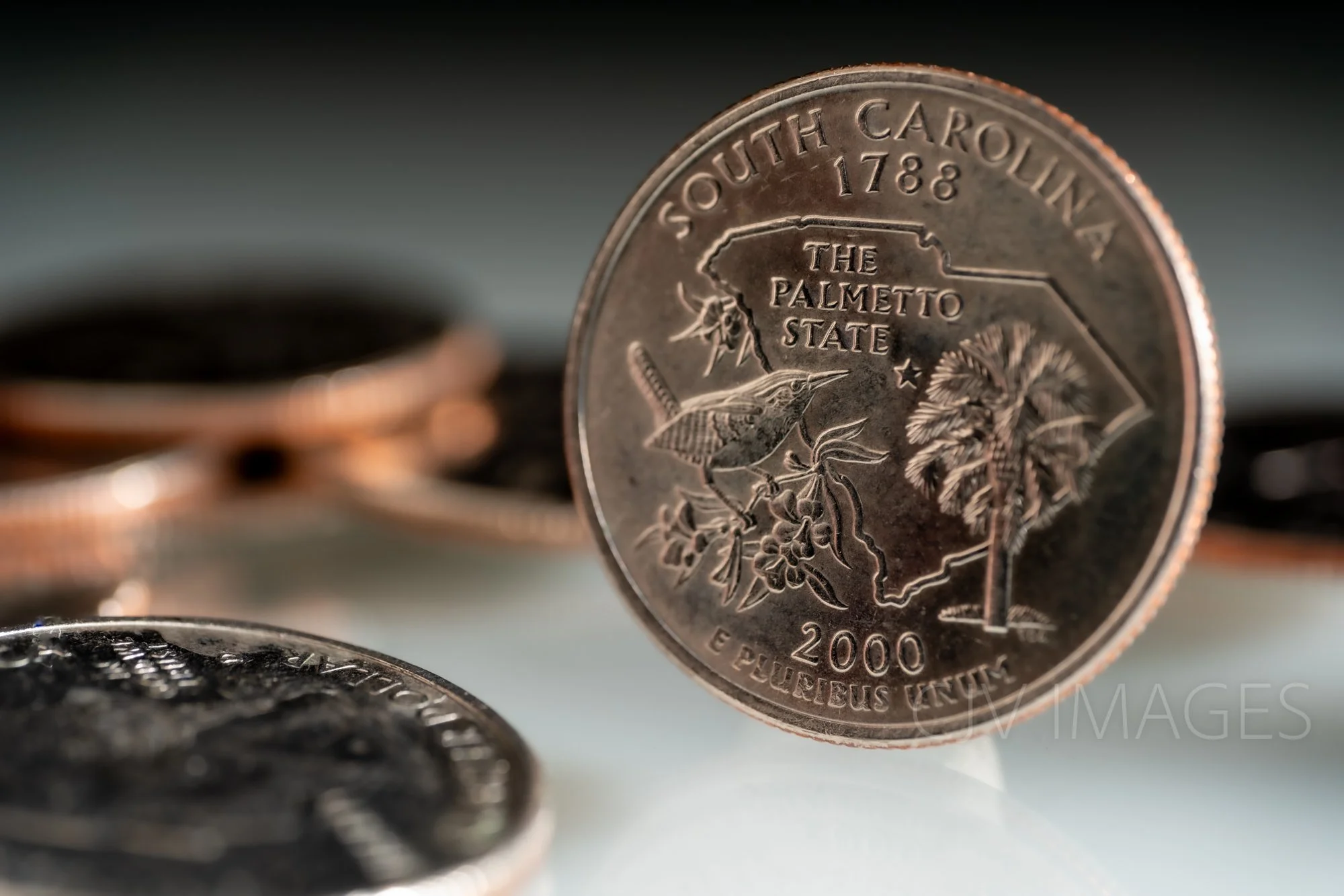 CURRENCY- SOUTH CAROLINA FULL FRAME #0833