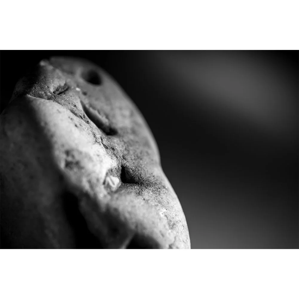STONE- STONE FACE BW #1629-Web.jpg