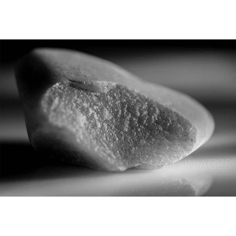 STONES- BEECH RIDGE BW #1509-Web.jpg
