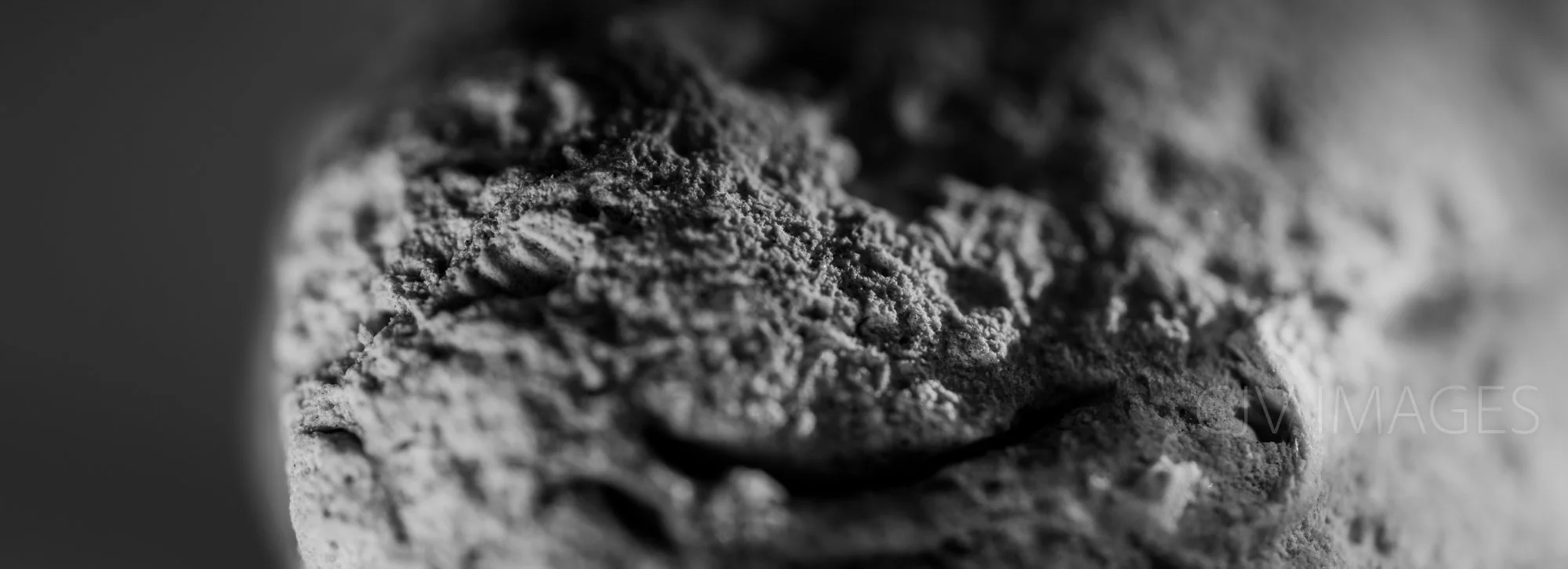 STONE- STONE FACE CROPPED BW #1568