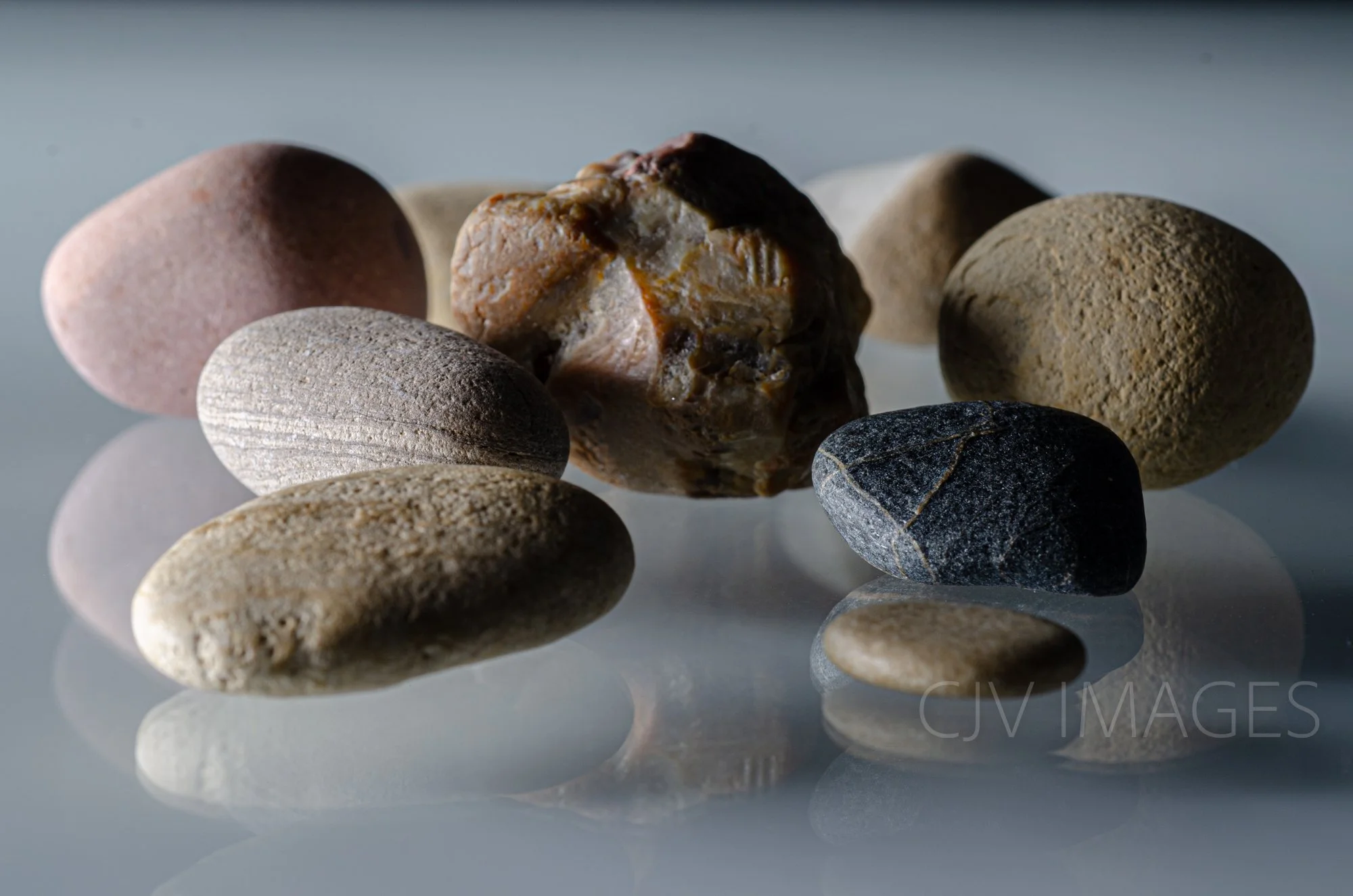 STONES- WHITEFISH #5153