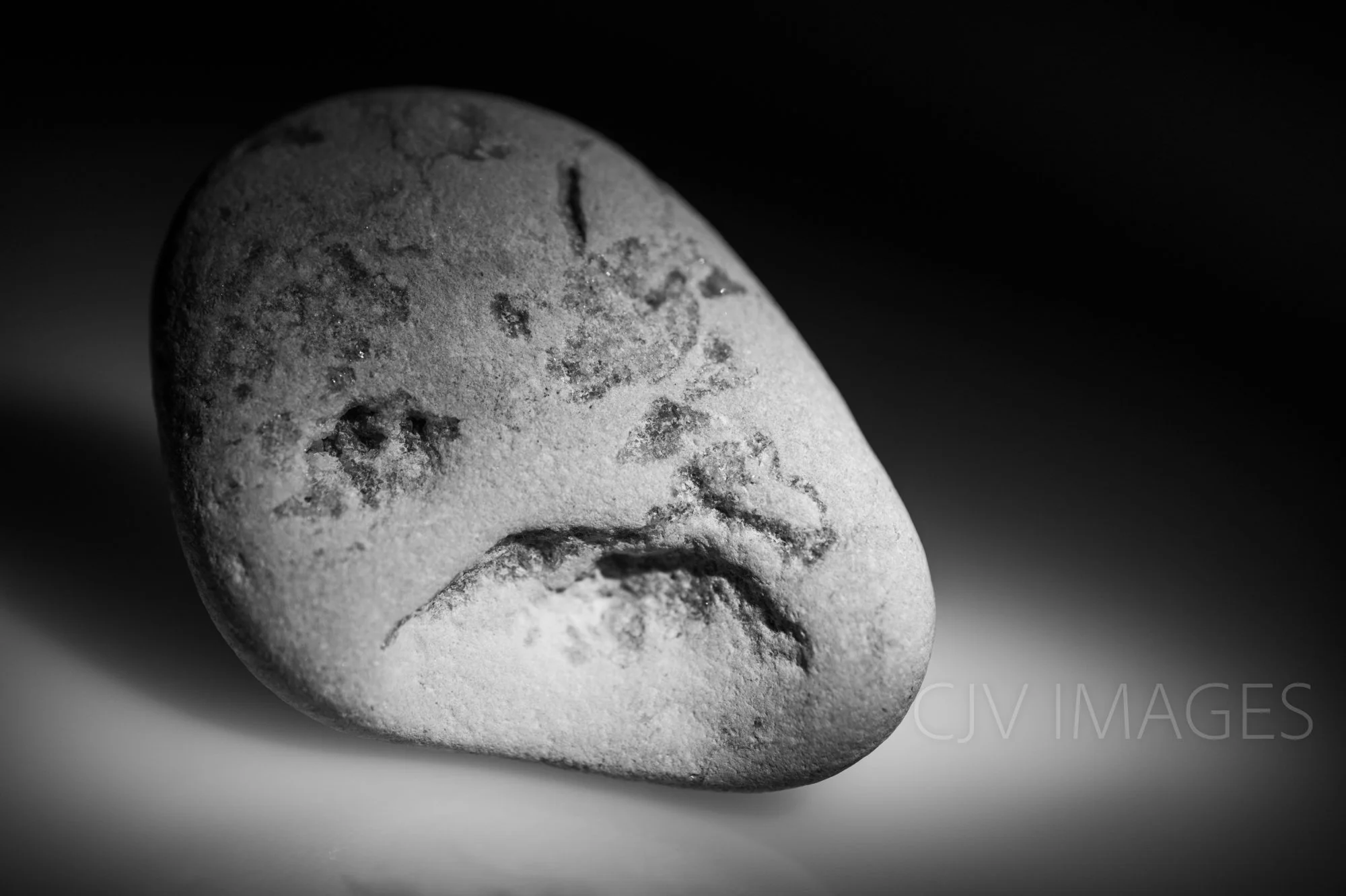 STONE- STONE FACE bw ##1556