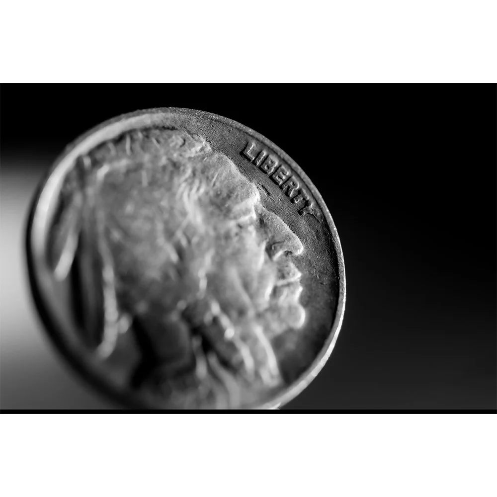 CURRENCY- BUFFALO NICKELS #1900 bw