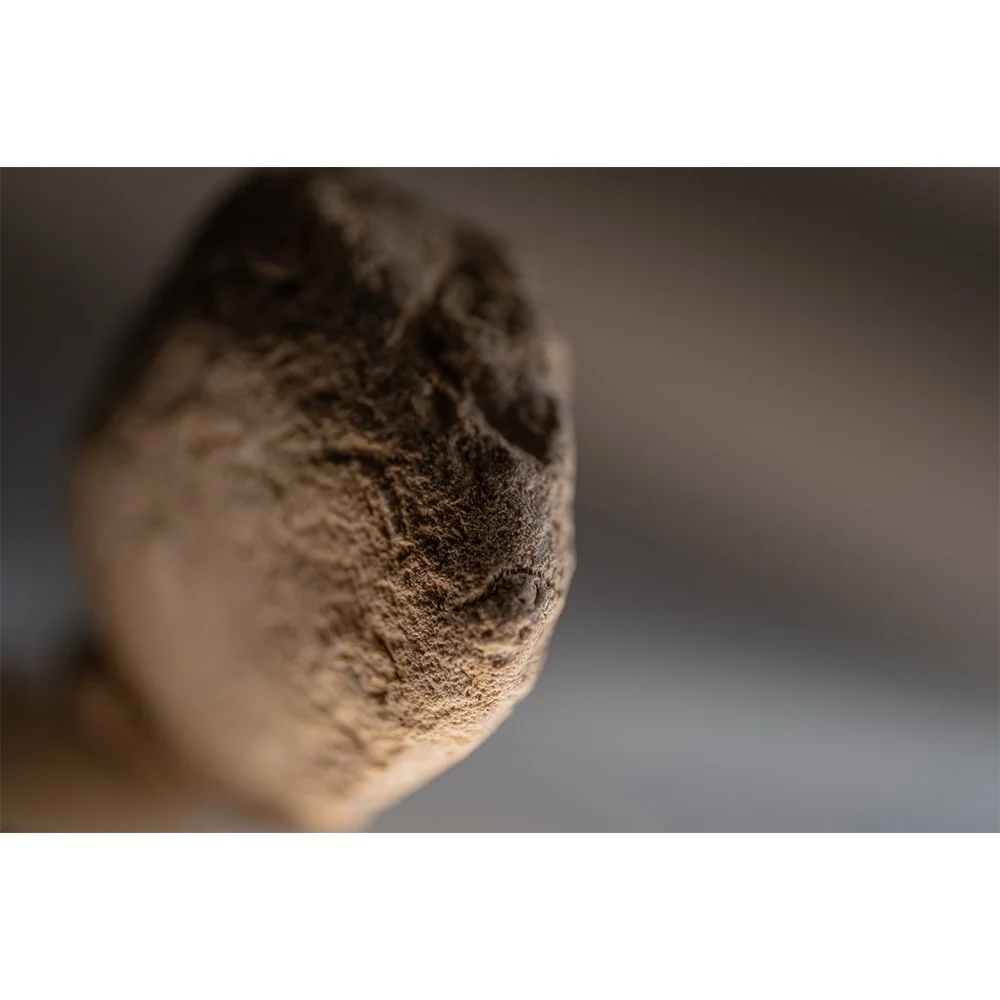 STONE- STONE FACE #1574-Web.jpg