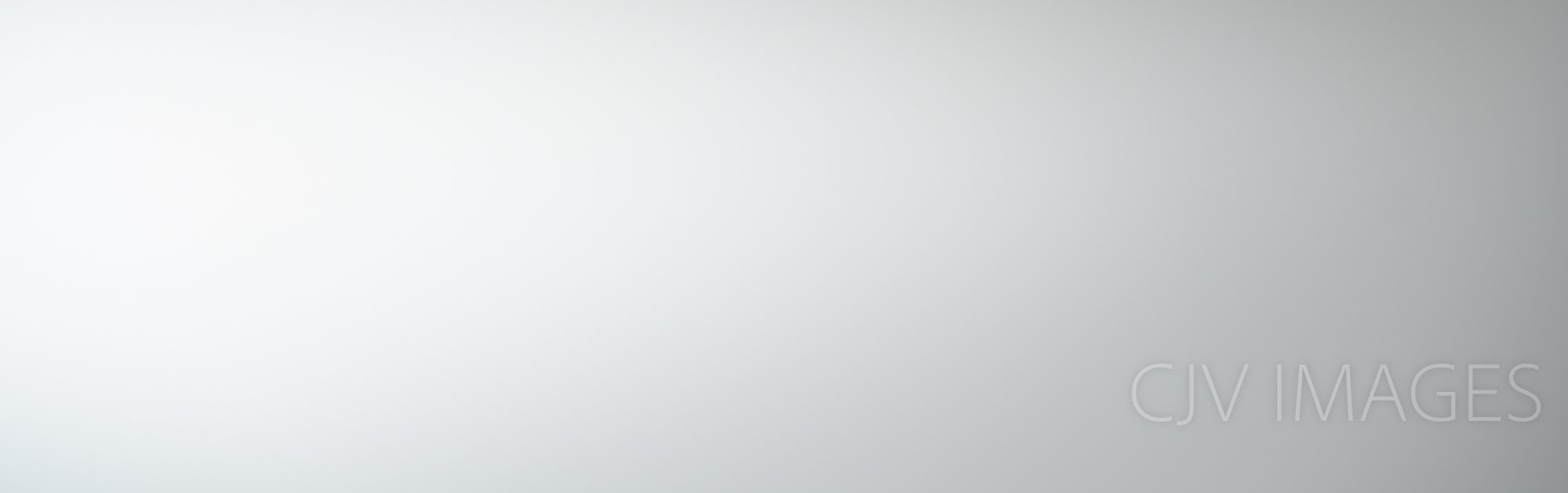 FILLER- WHITE WITH RIGHT SIDE GRAY 0908 #8 TIGHTER.jpg