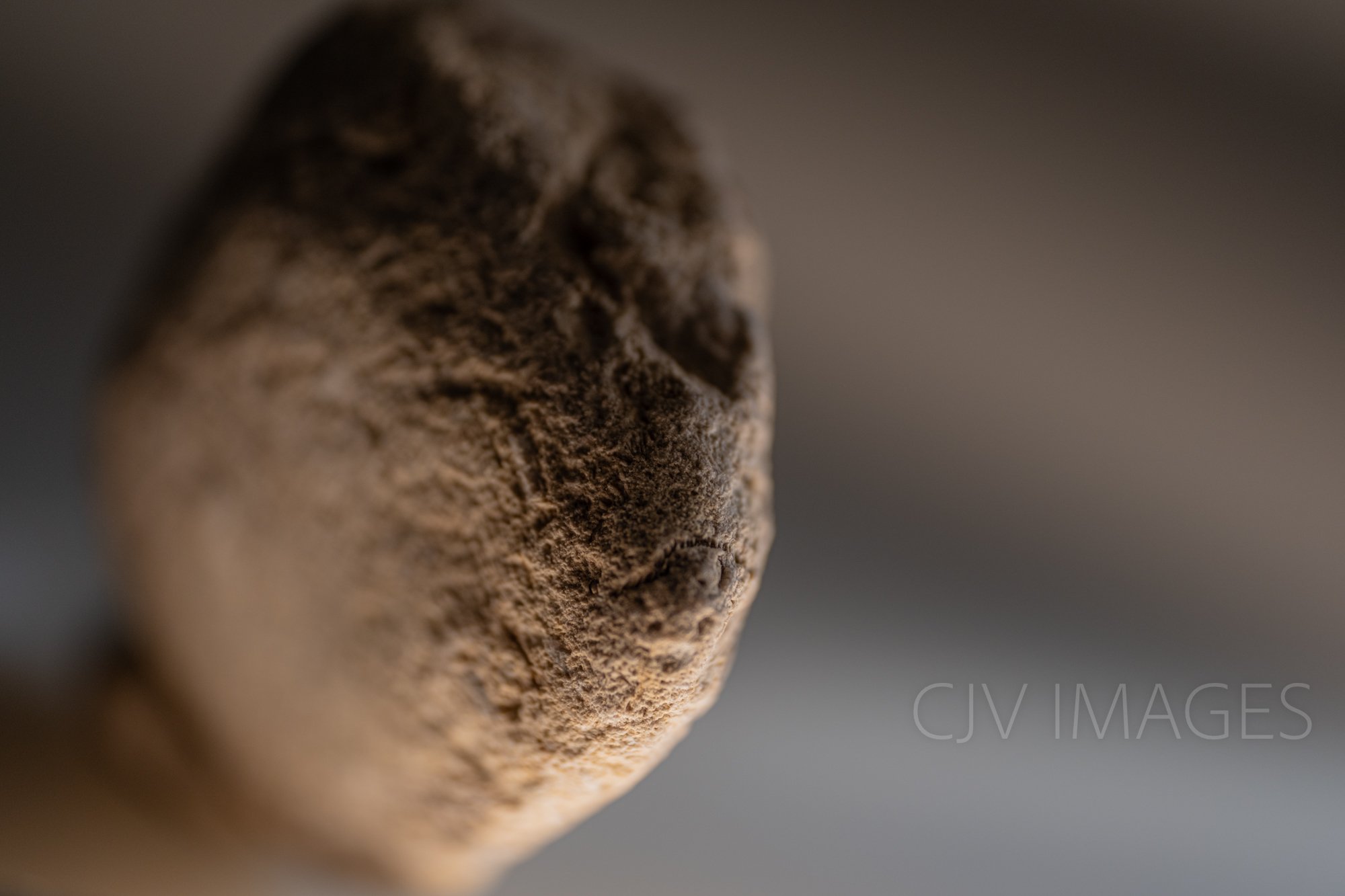 STONE- STONE FACE #1574