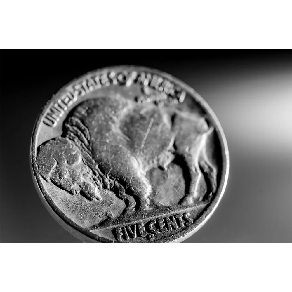 CURRENCY- BUFFALO NICKELS #1901 bw