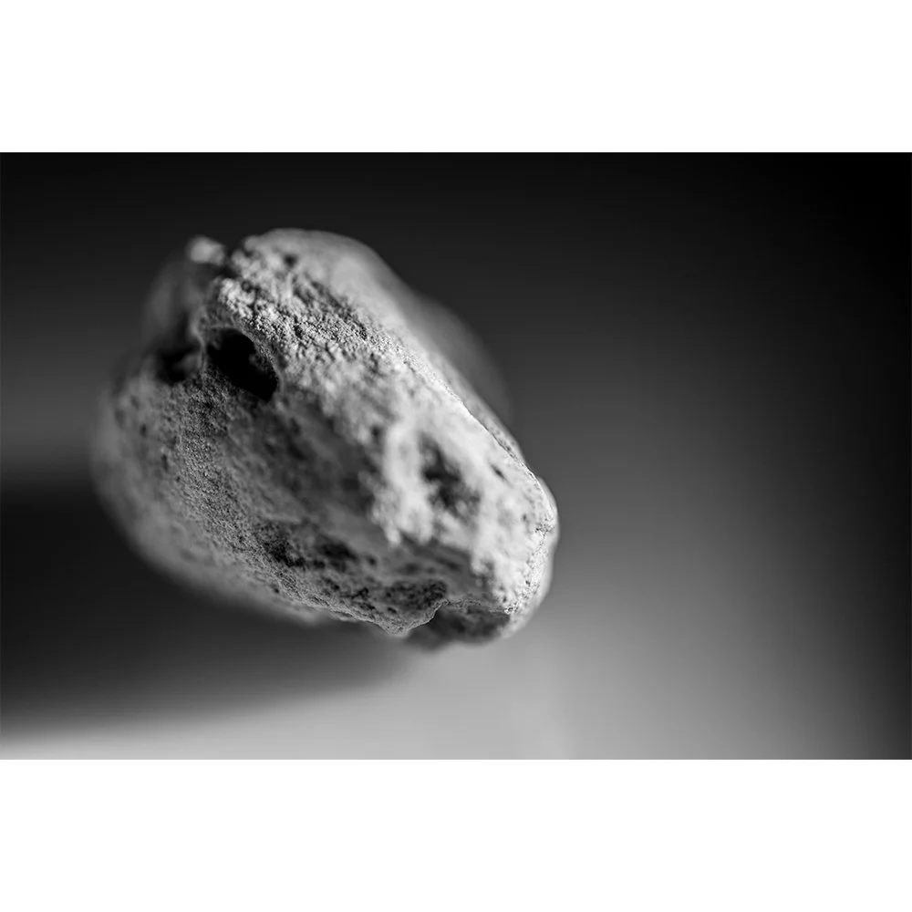 STONE- STONE FACE BW #1649-Web.jpg