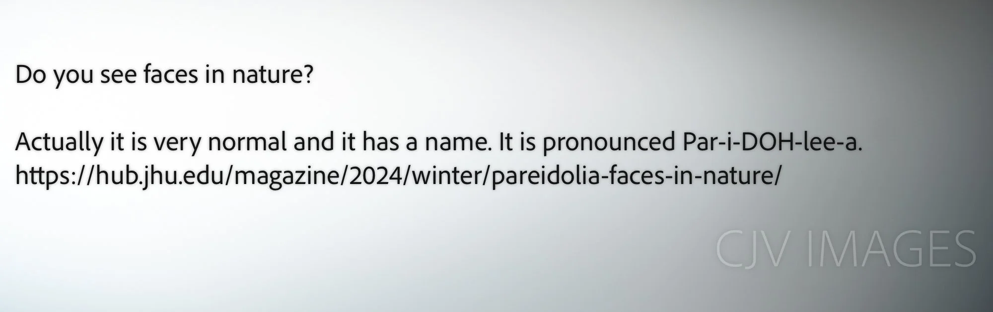 Par-i-DOH-lee-a #2.JPG