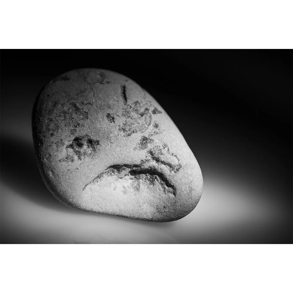 STONE- STONE FACE BW #1556-Web.jpg
