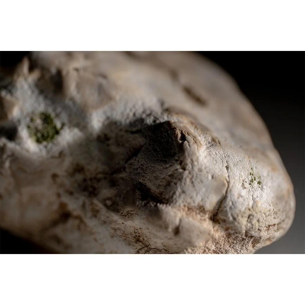 STONE- STONE FACE #1676-Web.jpg