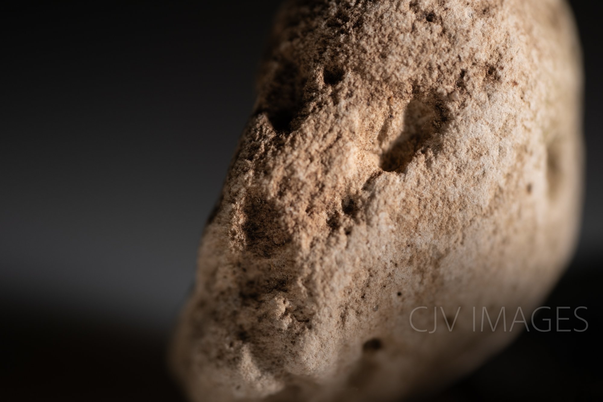 STONE- STONE FACE ##1656