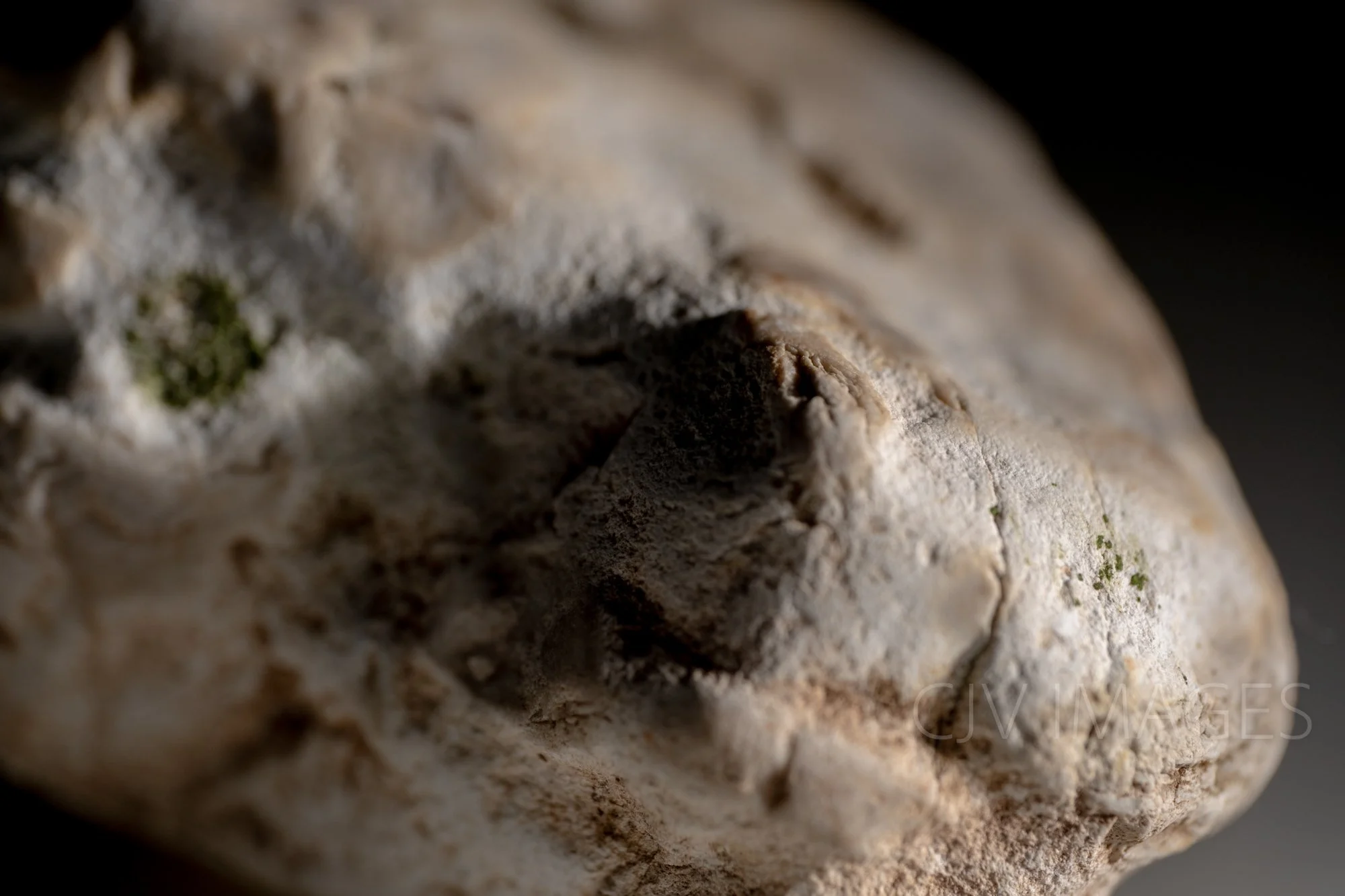 STONE- STONE FACE #1676