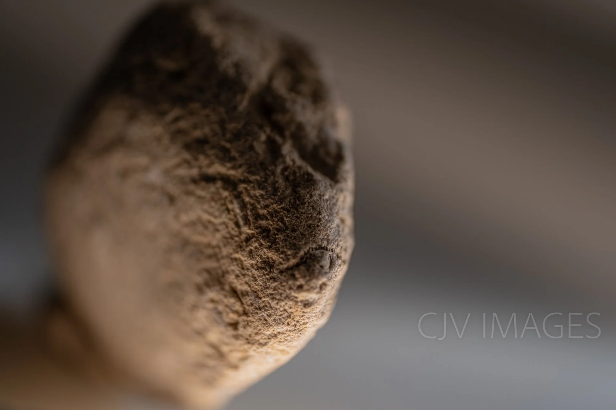 STONE- STONE FACE ##1574