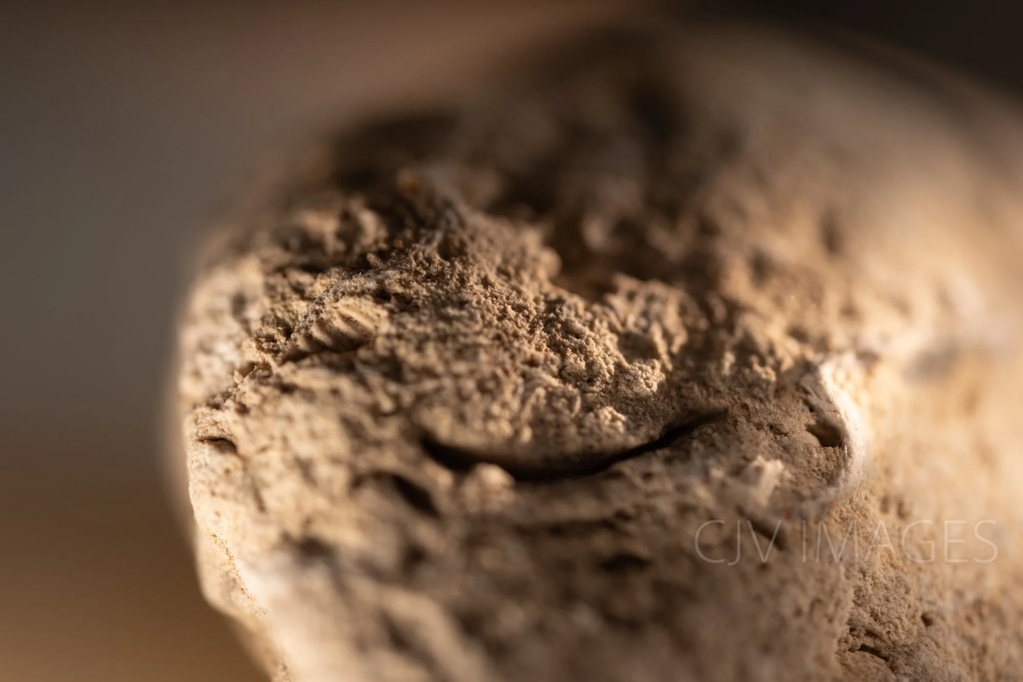 STONE- STONE FACE ##1568