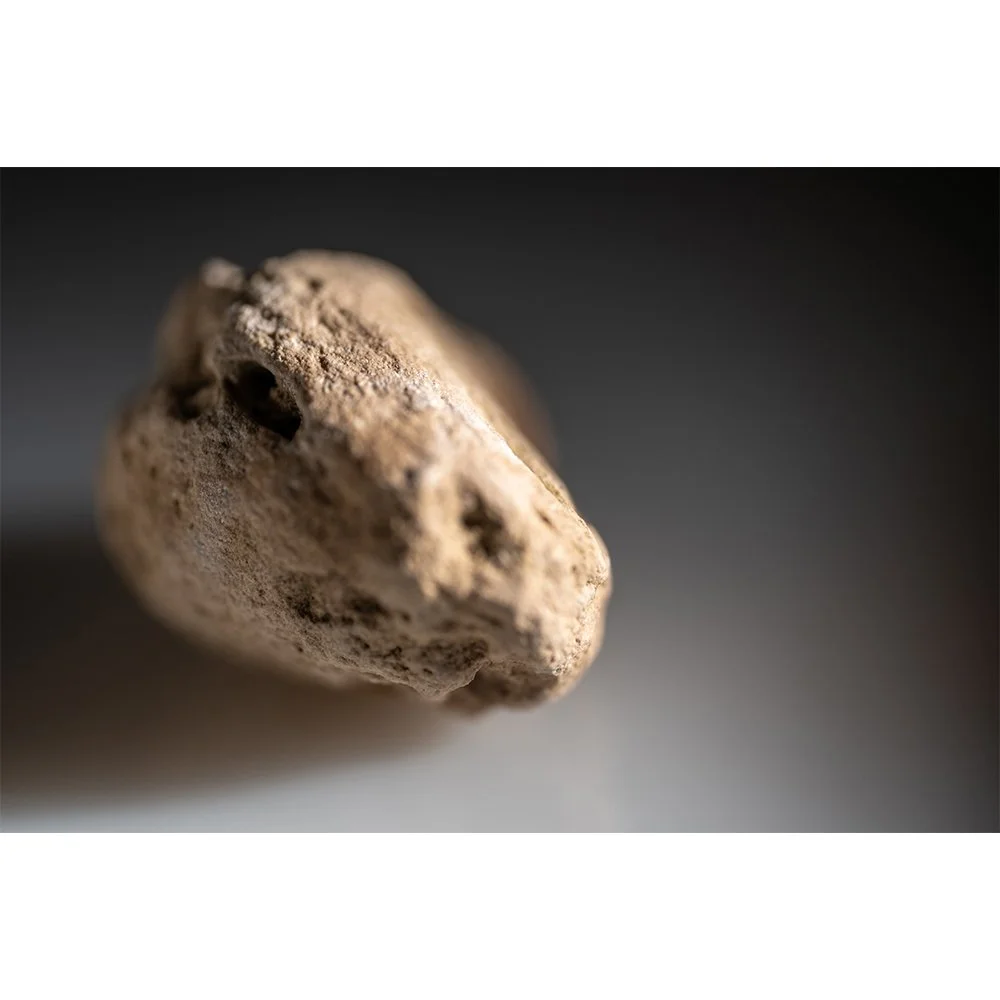 STONE- STONE FACE #1649-Web.jpg