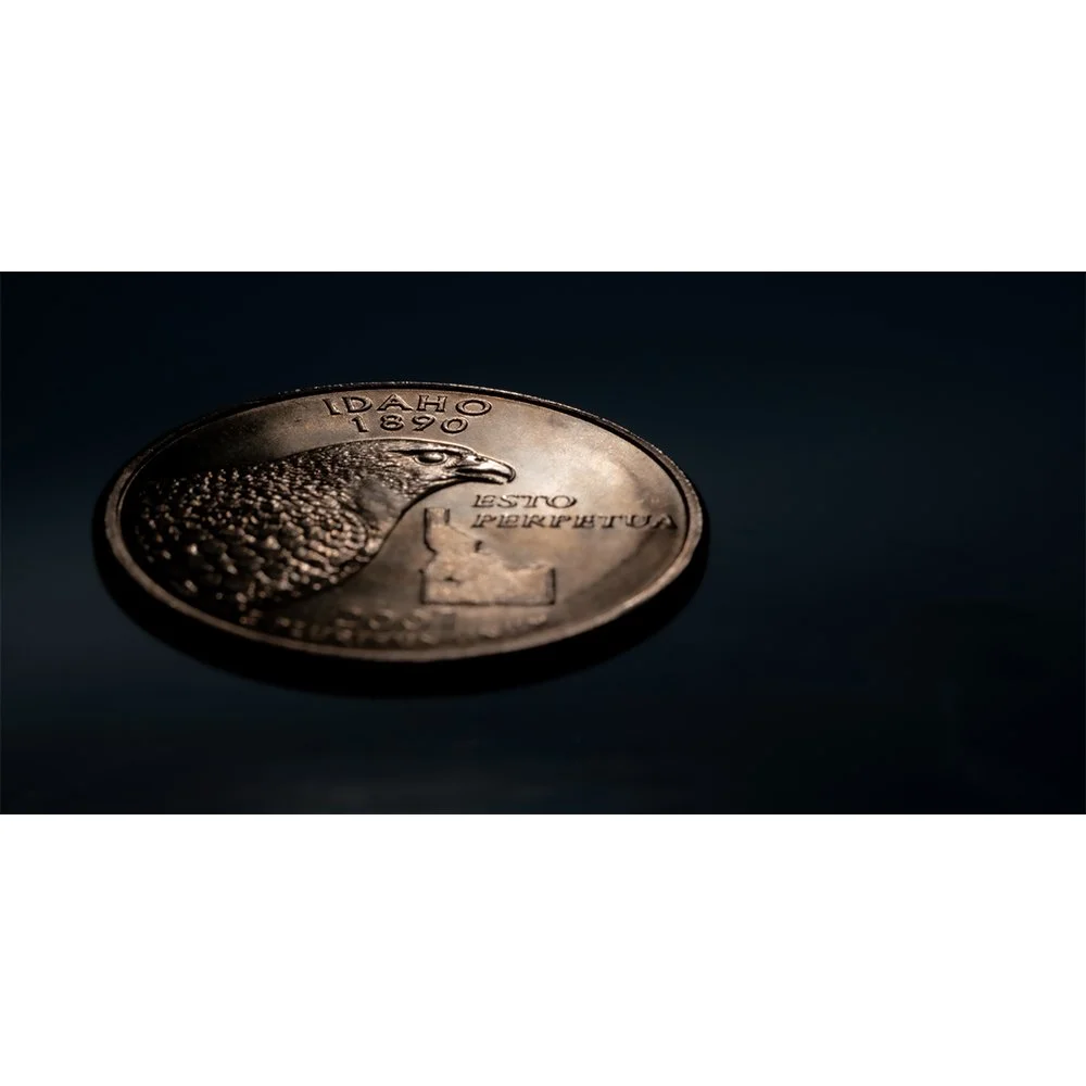 CURRENCY- STATE QUARTERS IDAHO CROPPED #2329-web.jpg