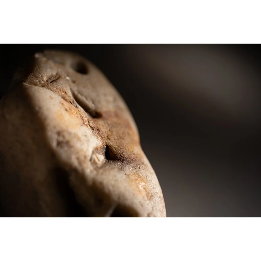 STONE- STONE FACE #1629-Web.jpg