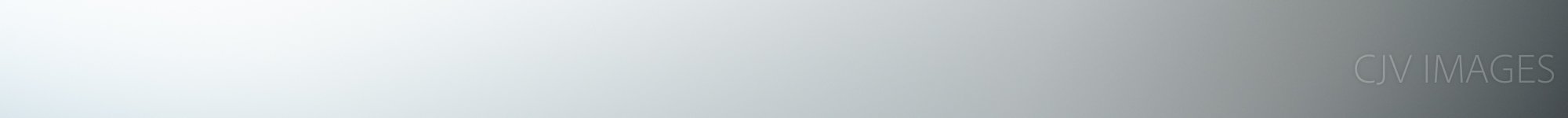 FILLER- WHITE WITH GRAY RIGHT 0908 #4.jpg