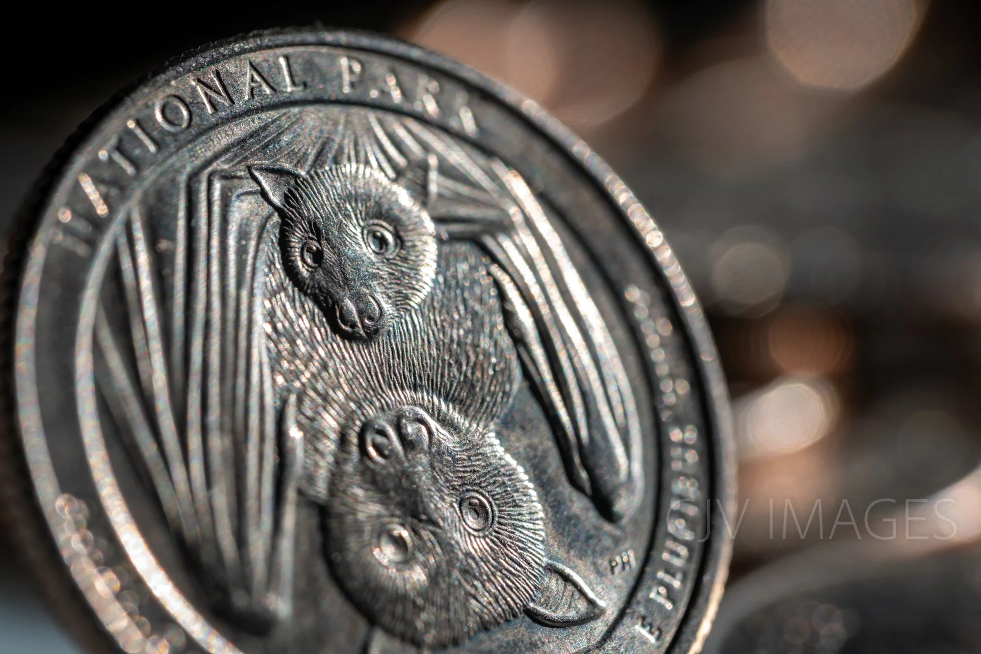 CURRENCY- NATIONAL PARK CROPPED #0653