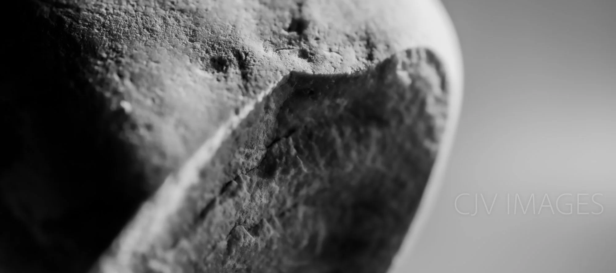 STONE- STONE FACE CROPPED BW #1538