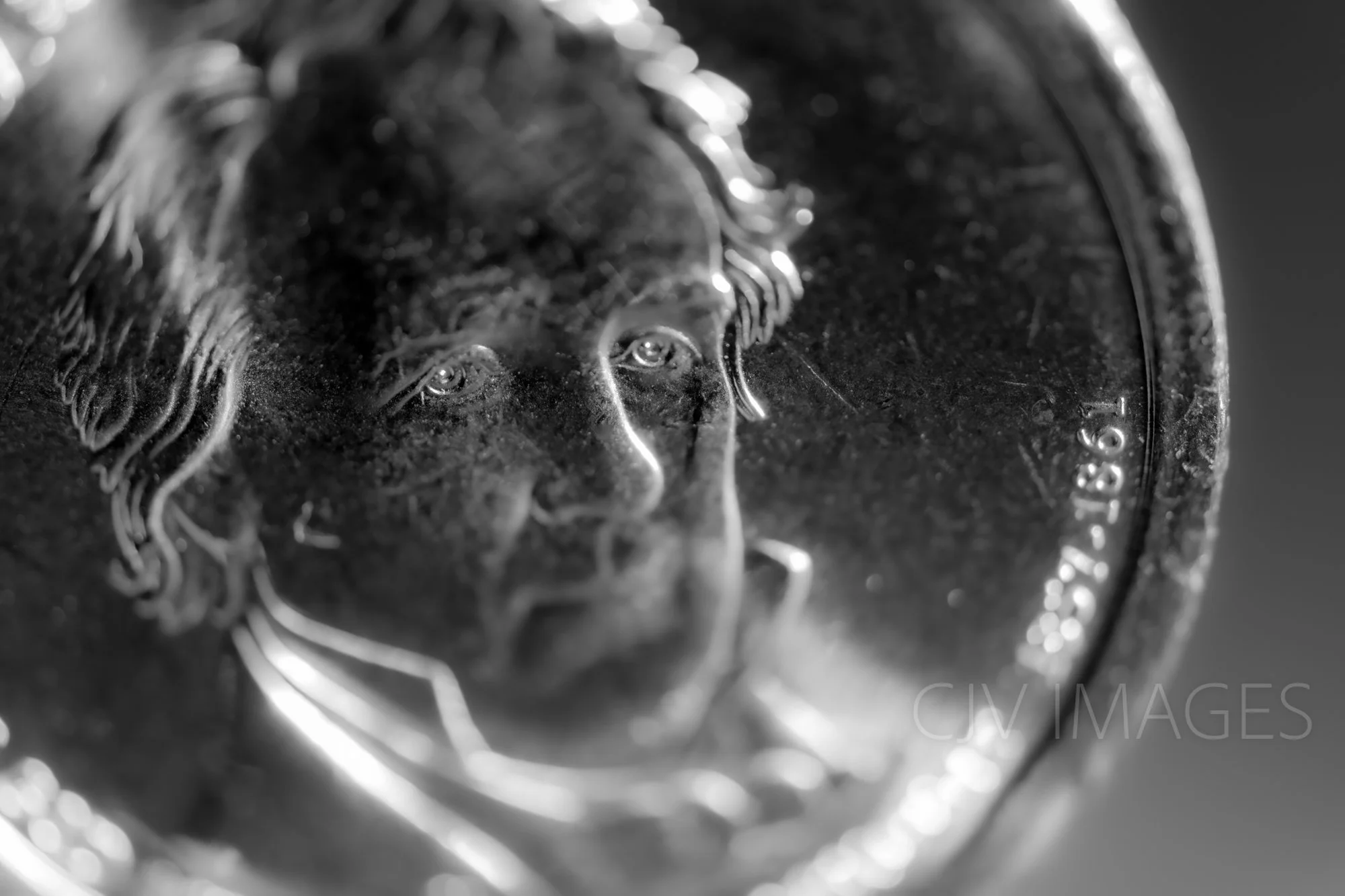 CURRENCY- BUCHANAN, JAMES 15TH 1857-1861 #2069