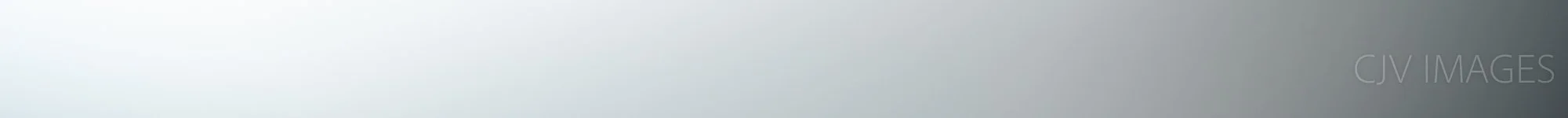 FILLER- WHITE WITH GRAY RIGHT 0908 #4.jpg
