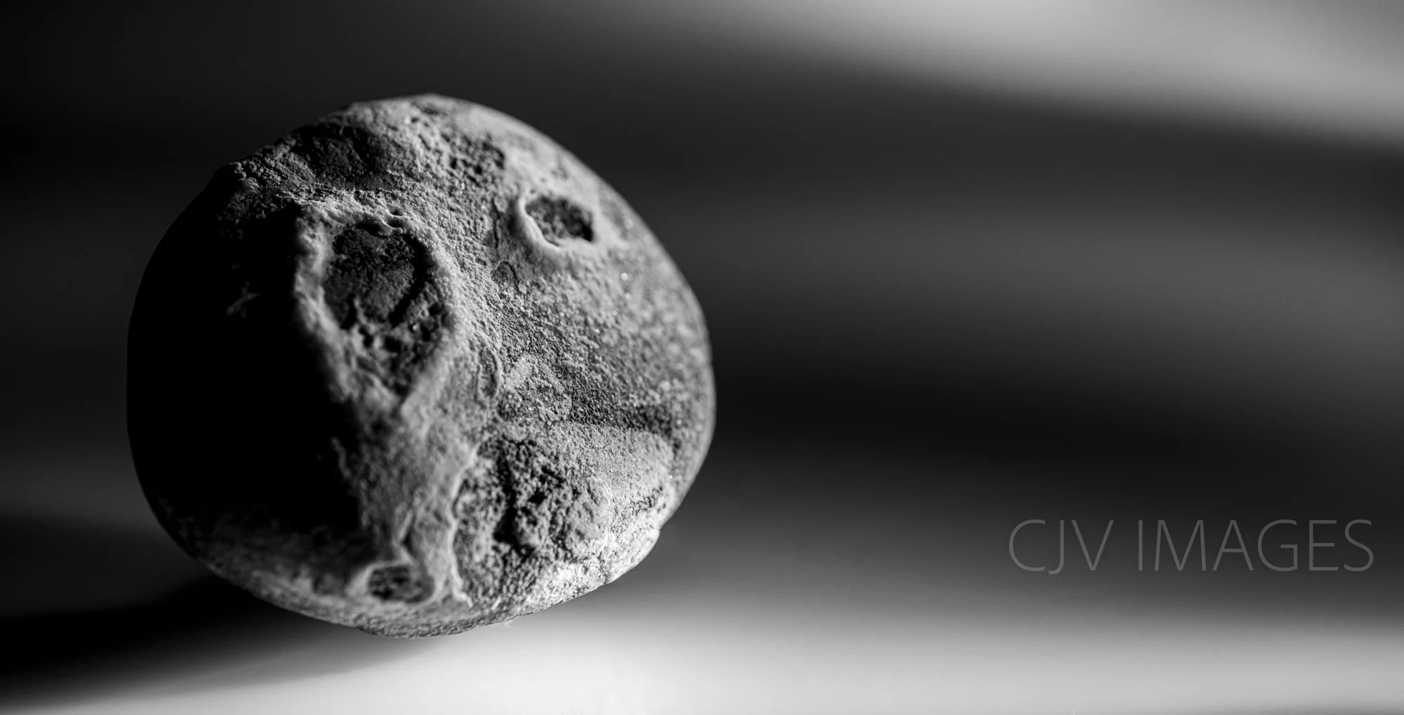 STONE- STONE FACE CROPPED #1535