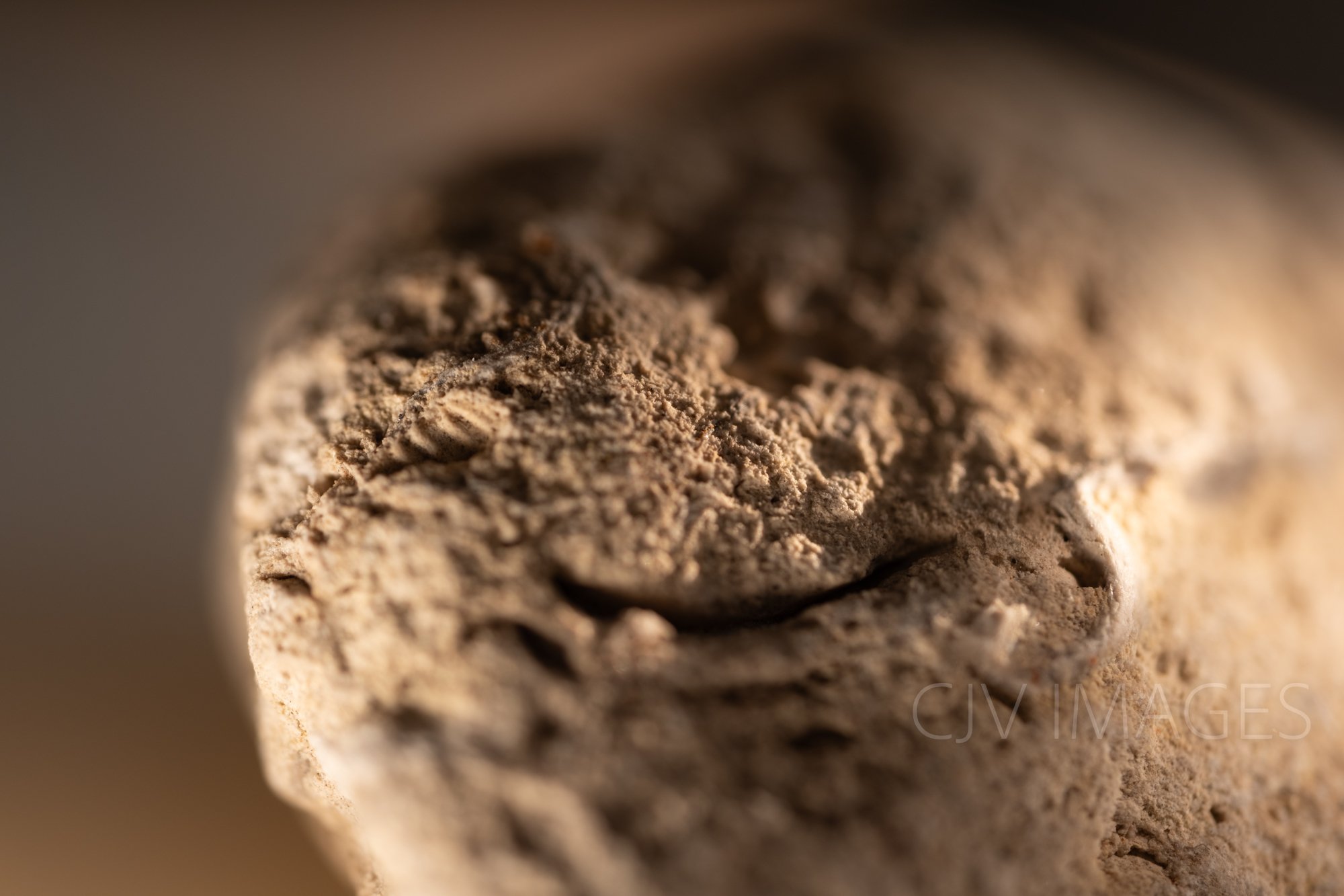 STONE- STONE FACE #1568