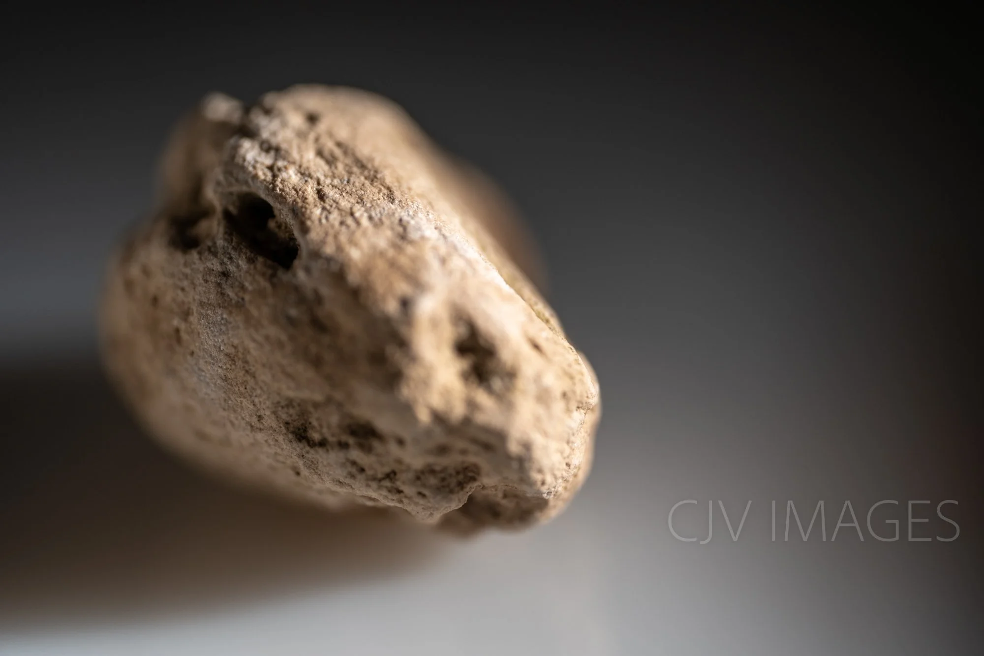 STONE- STONE FACE ##1649