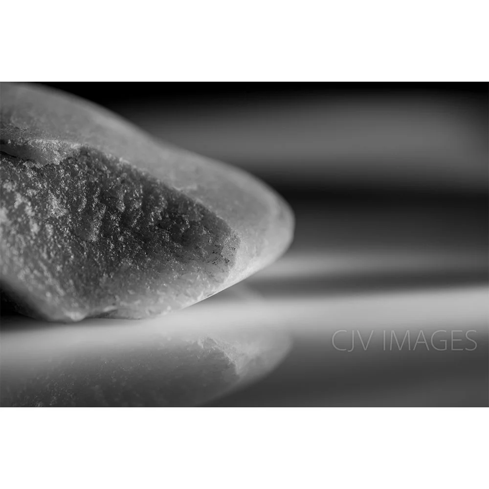 STONES- BEECH RIDGE BW #1510-Web.jpg