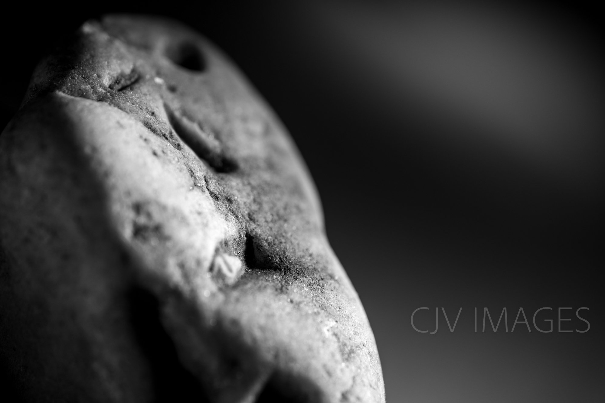 STONE- STONE FACE bw ##1629