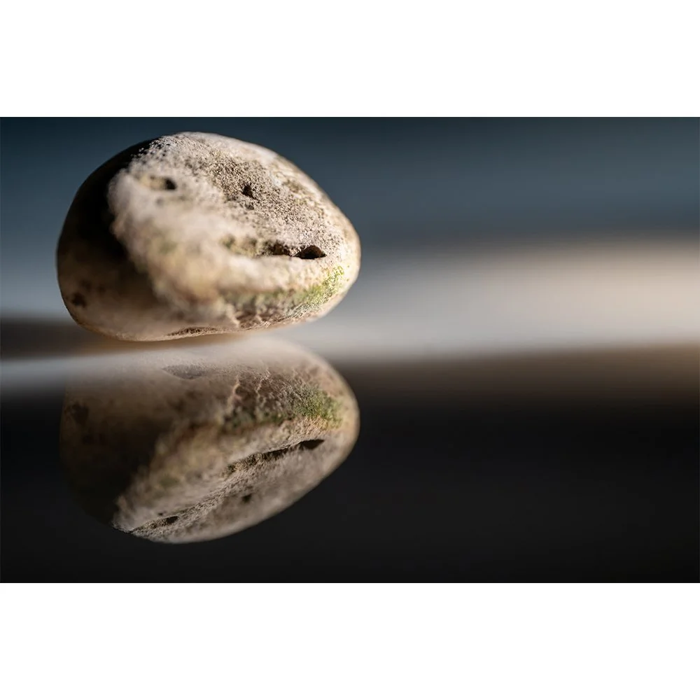 STONE- STONE FACE #1768-Web.jpg