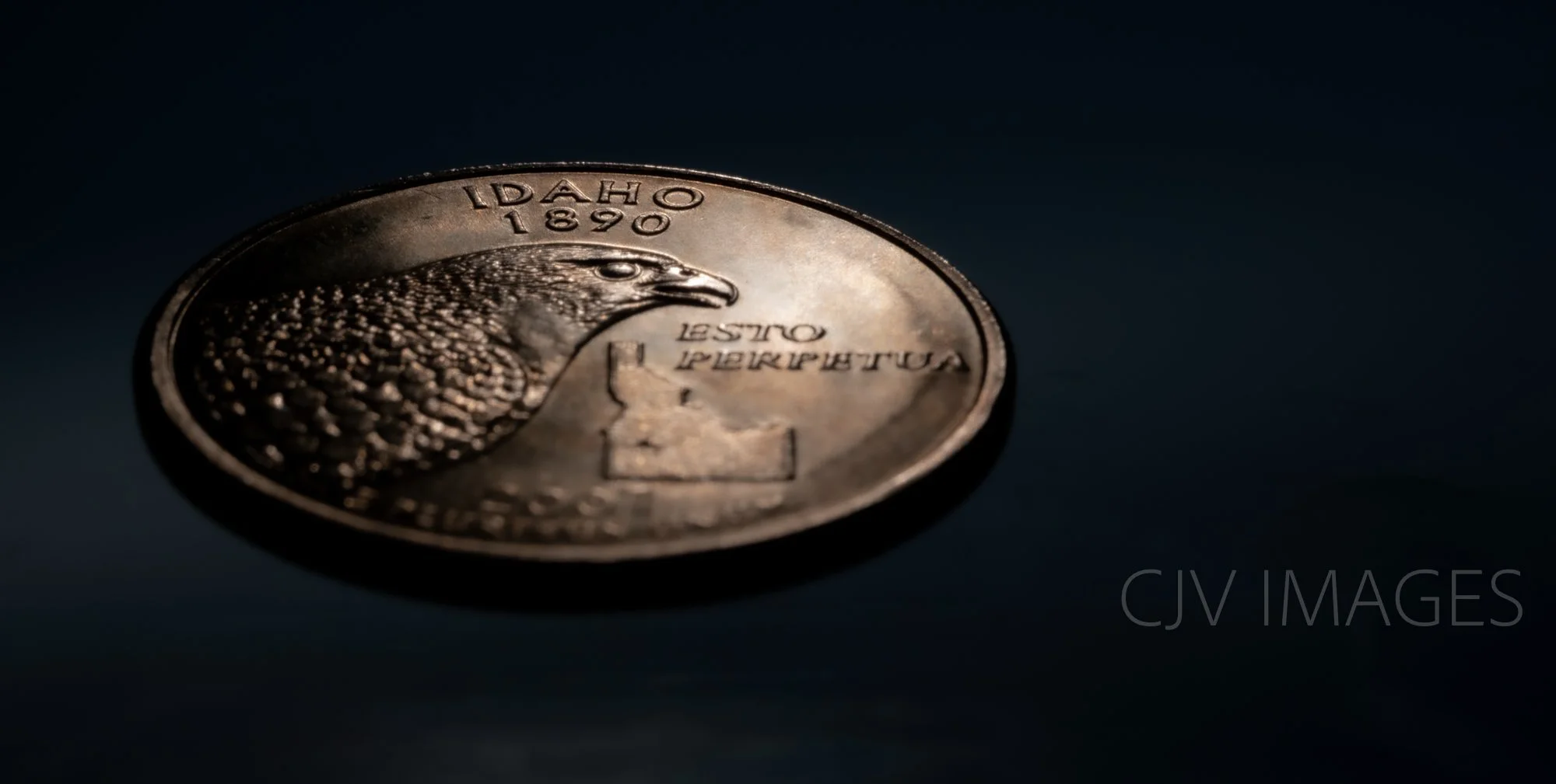 CURRENCY- STATE QUARTER IDAHO #2329