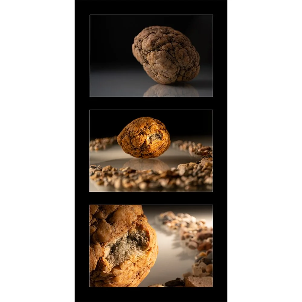 Stone Brain Group 1 - 10x20-Web.jpg