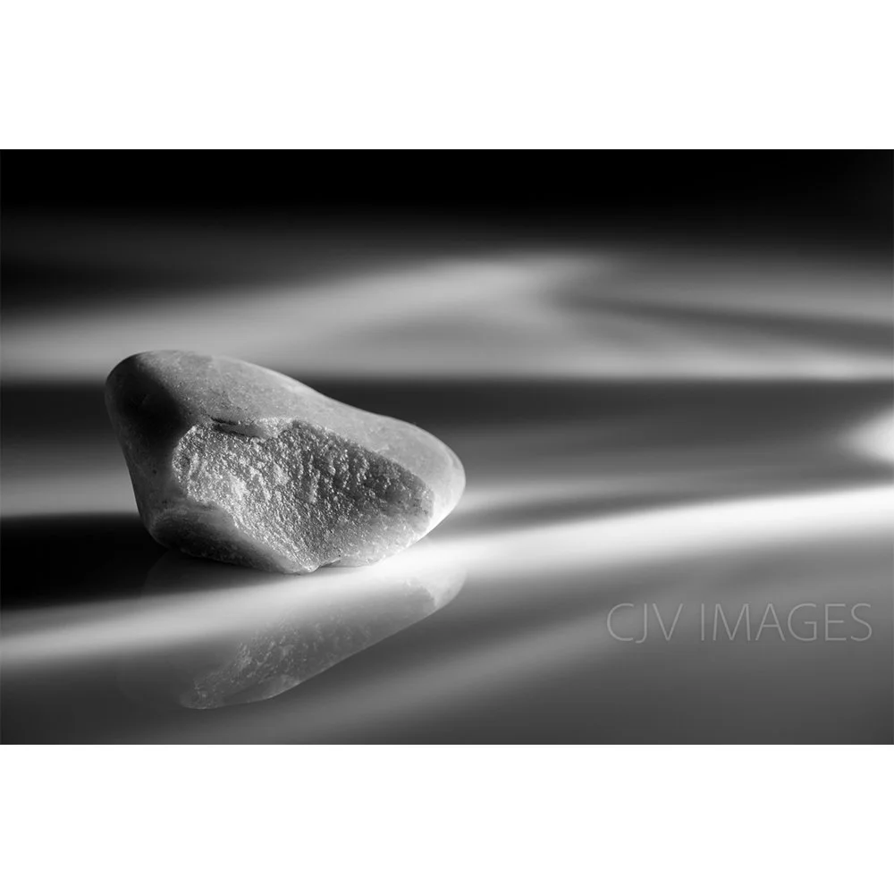 STONES- BEECH RIDGE BW #1507-Web.jpg