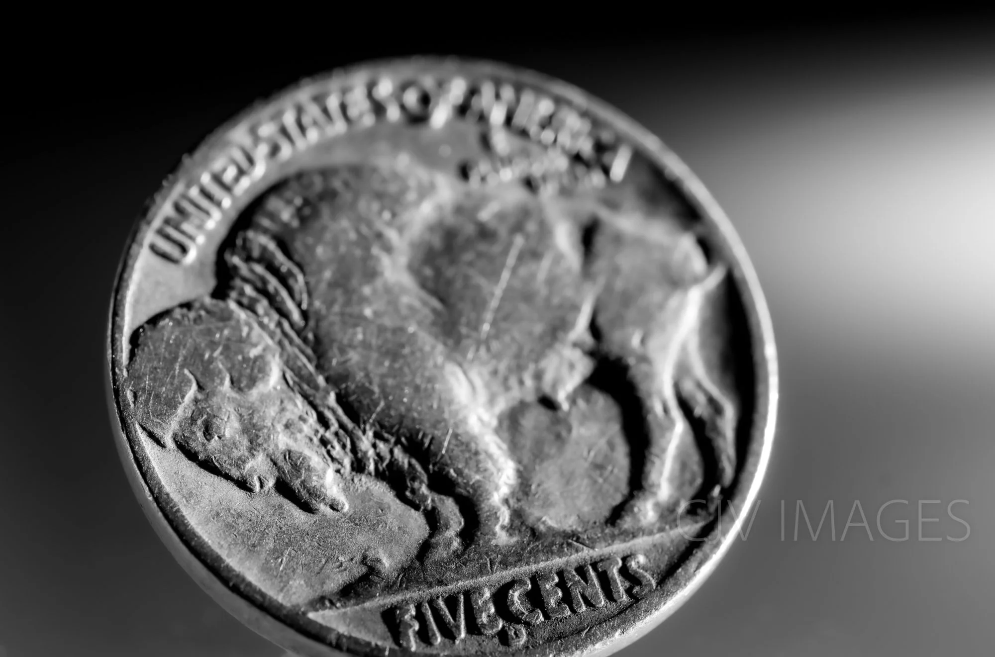 CURRENCY- BUFFALO NICKELS bw #1901