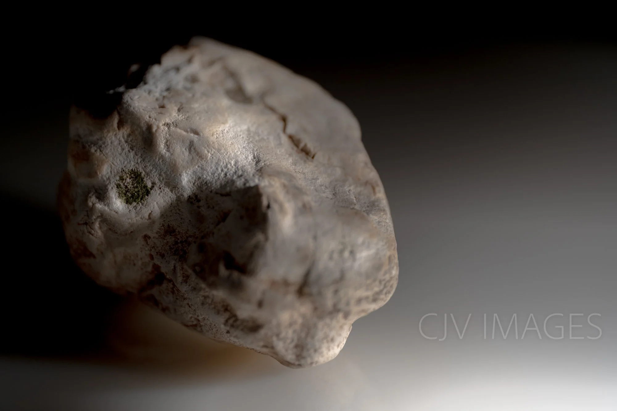 STONE- STONE FACE ##1663