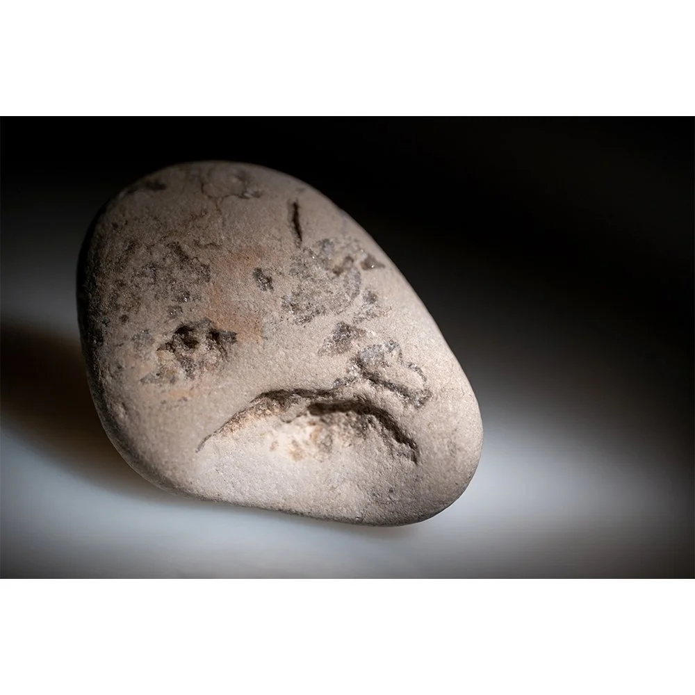 STONE- STONE FACE #1556-Web.jpg